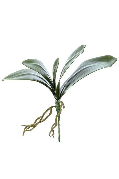 14" Phalaenopsis Leaf Cluster Green
