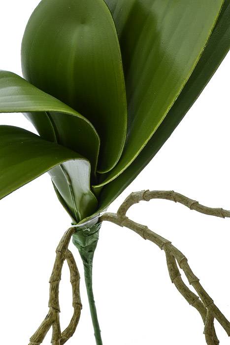 14" Phalaenopsis Leaf Cluster Green