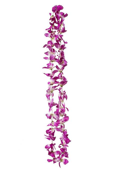 23" Orchid Necklace Purple/white
