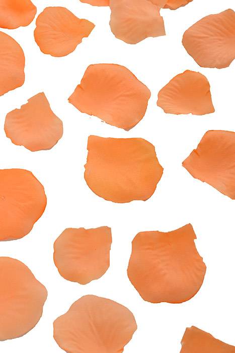 Silk Rose Petals Peach Pkg/500