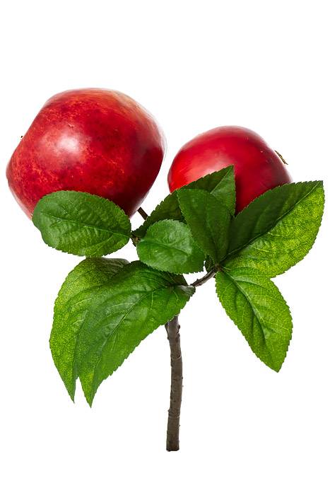 8" Apple Pick Red/green