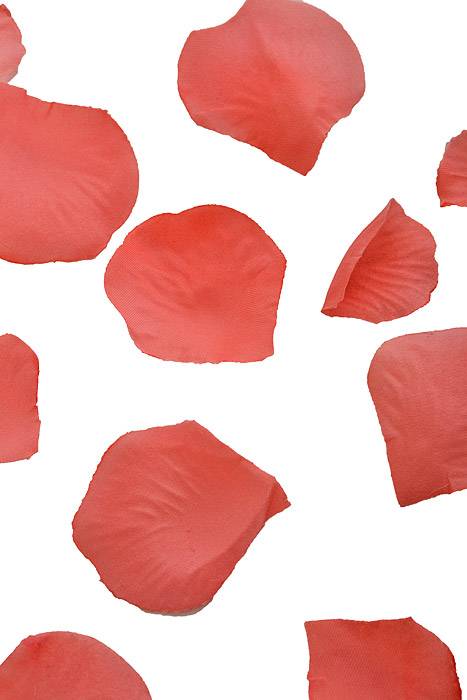 Silk Rose Petals Coral Pkg/500