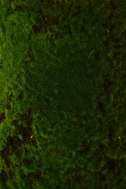 40" Moss Sheet Green