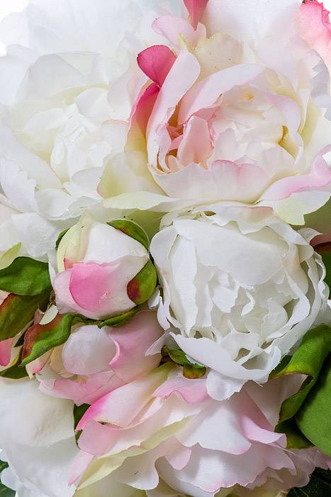 13.5&quot; Silk Peony Bouquet Cream/pink