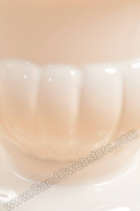 6.5" Glazed White Urn White