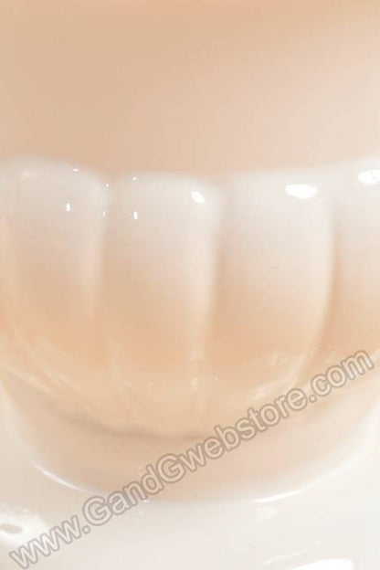 6.5" Glazed White Urn White