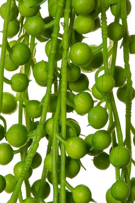 35" String Of Pearls Hanging Pick Green