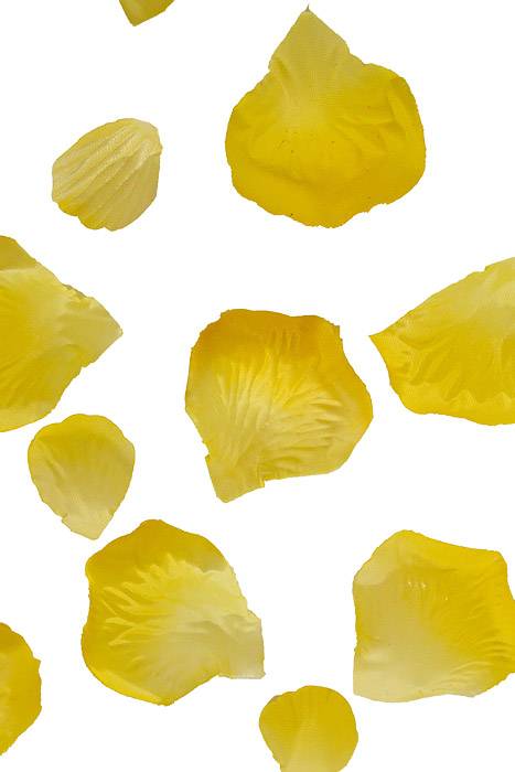 Rose Petals In Box Yellow