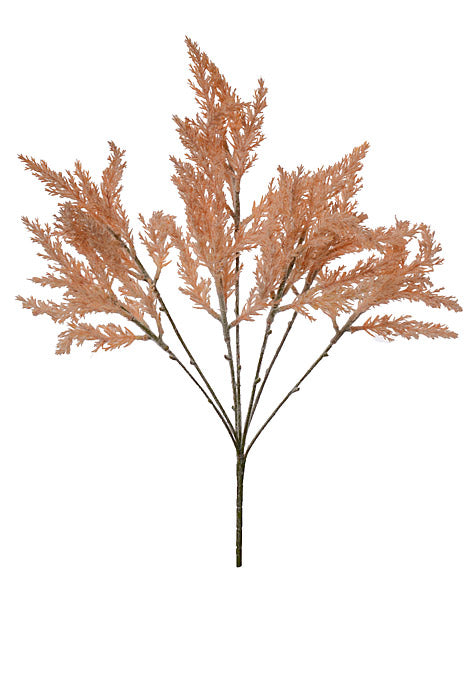 21&quot; Plume Bush Natural