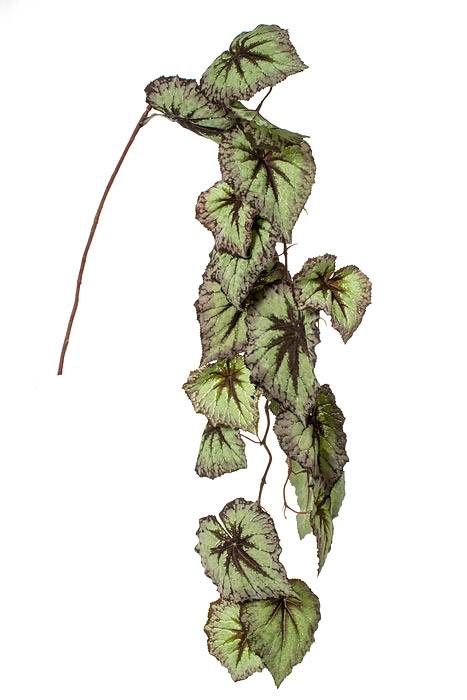 43" Begonia Leaf Hanging Spray Green/purple