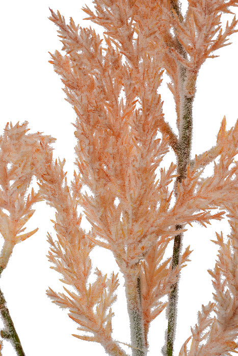 21&quot; Plume Bush Natural