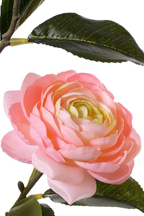 29.5" Silk Camellia Spray Peach/pink