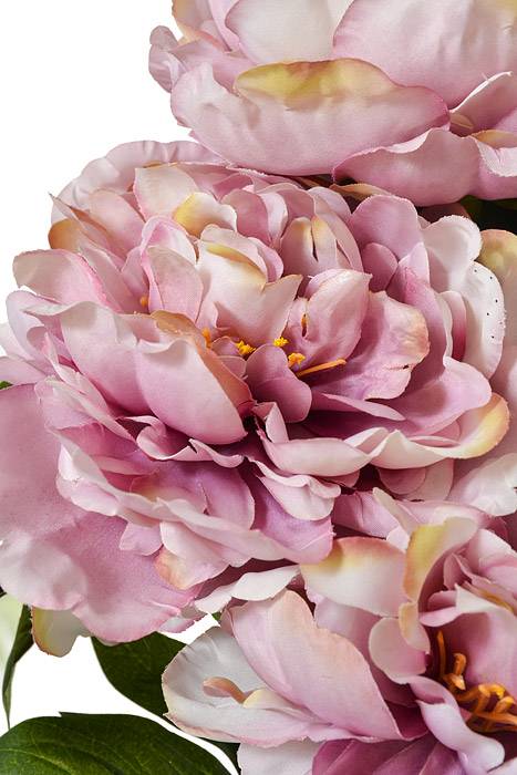 17" Silk Peony Bush Lavender