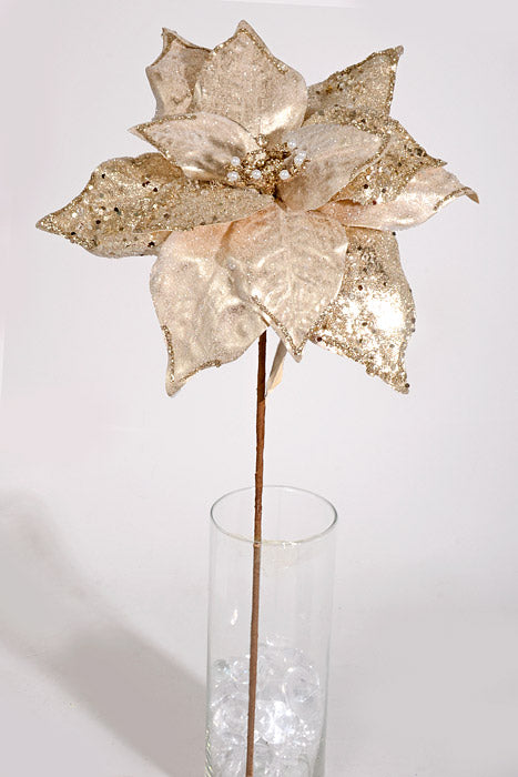 25&quot; Iced Poinsettia Stem Champagne