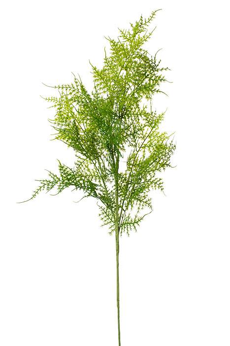 35&quot; Asparagus Spray Two Tone/green
