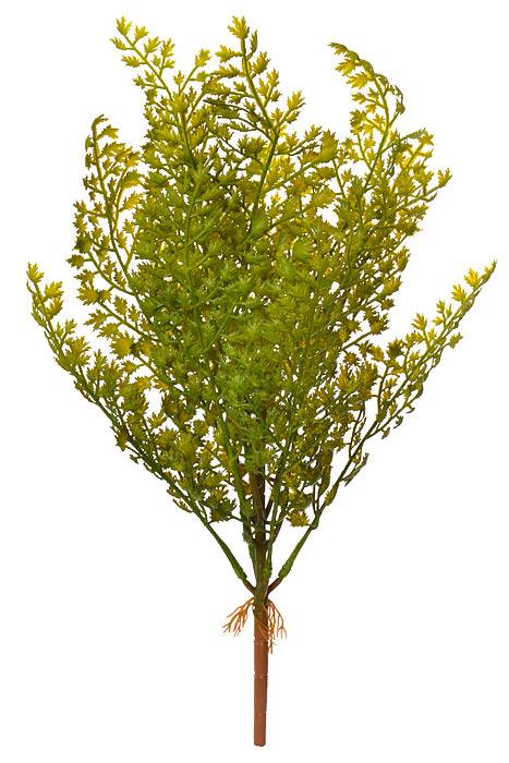 17" Fern Bush Green