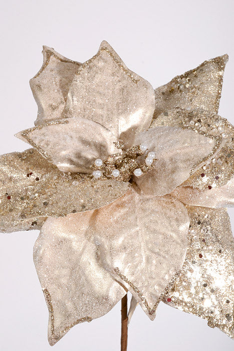25&quot; Iced Poinsettia Stem Champagne