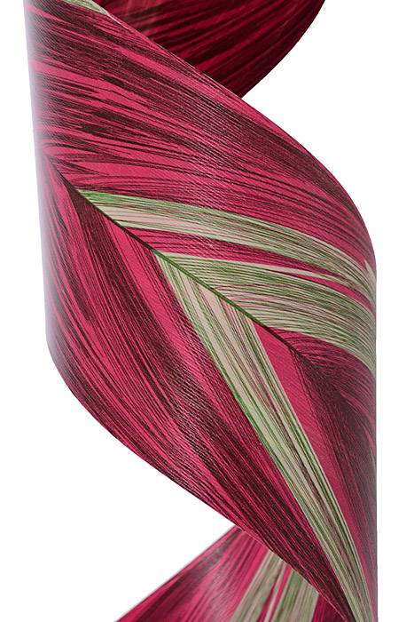 4" X 50yds Leaf/aspidstra Ribbon Pink