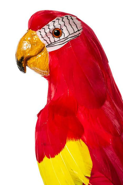 23" Feather Standing  Macau Red