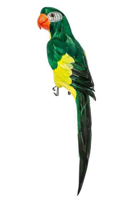 23" Feather Standing  Macau Green/yellow
