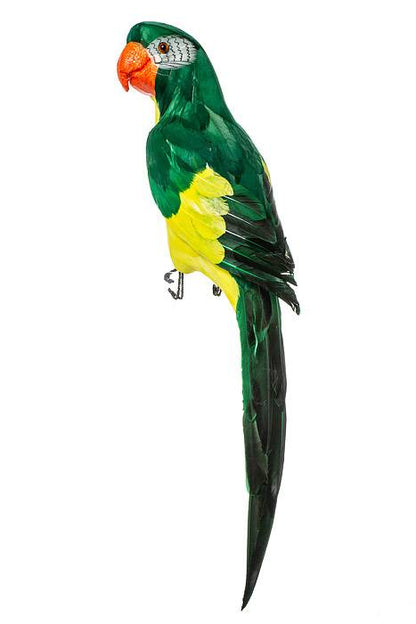 23" Feather Standing  Macau Green/yellow