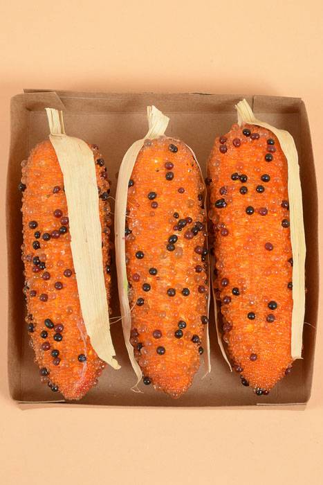 6" Beaded Corn Box Orange/black Pkg/3