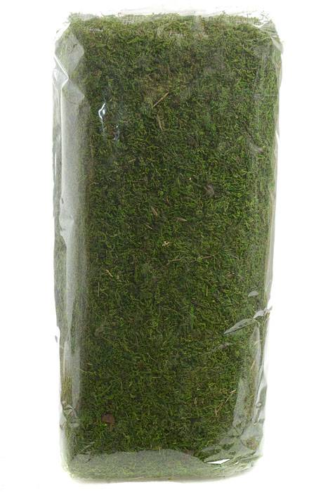 18" X 24ft Natural Moss Sheet Green