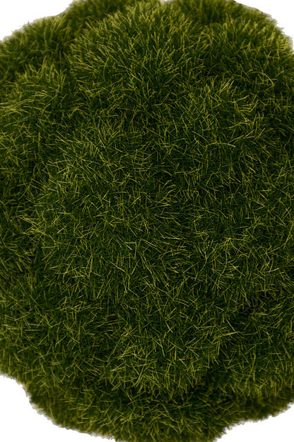 6" Mood Moss Ball Green