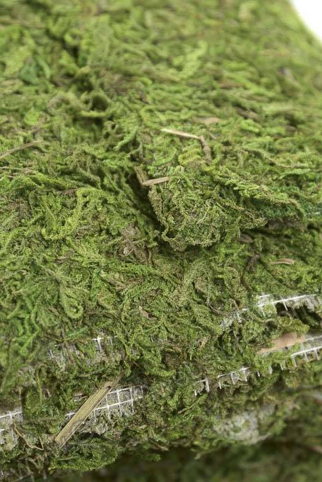 18&quot; X 24ft Natural Moss Sheet Green