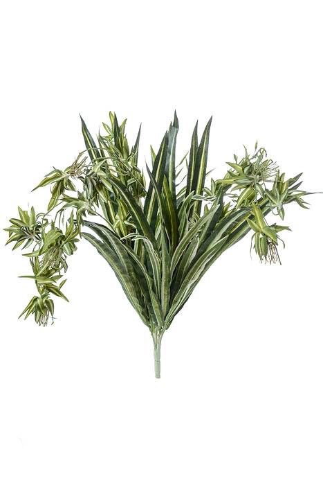 30&quot; Dea Spider Plant Green/white