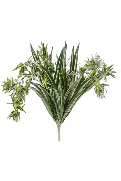 30&quot; Dea Spider Plant Green/white