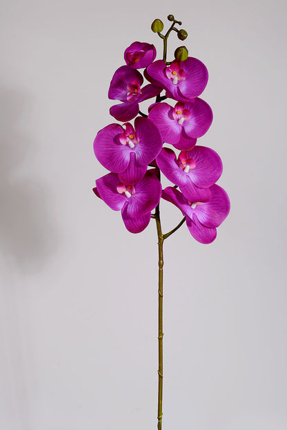 39.5" Real Touch Phalaenopsis Spray Eggplant