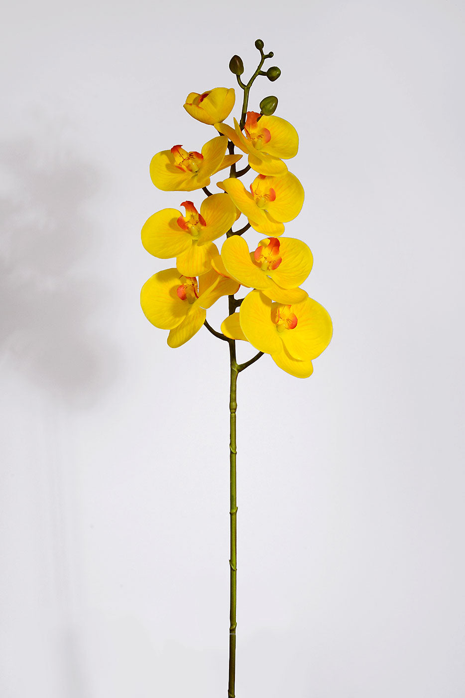 39.5" Real Touch Silk Phalaenopsis Spray Yellow