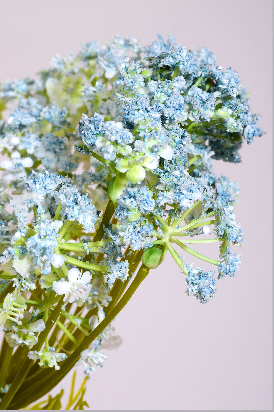 35" Silk Queen Anne&