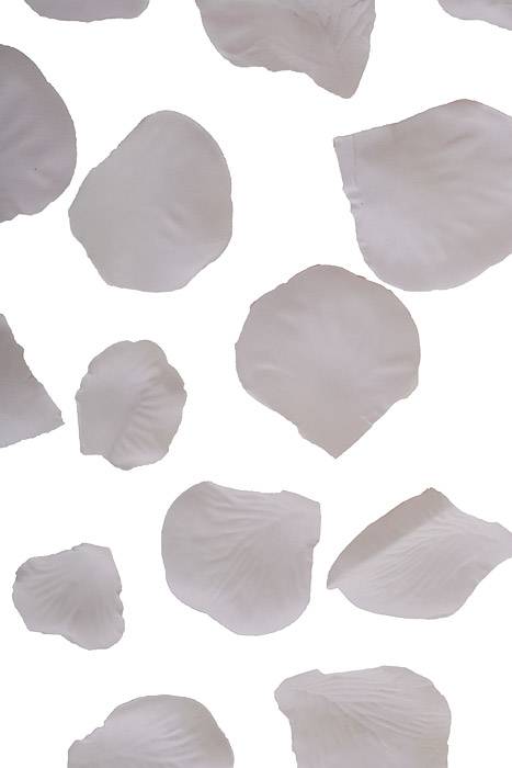 Silk Rose Petals White Pkg/500