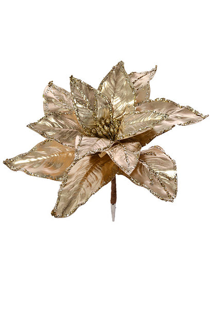 7" Poinsettia With Glitter Clip Champagne