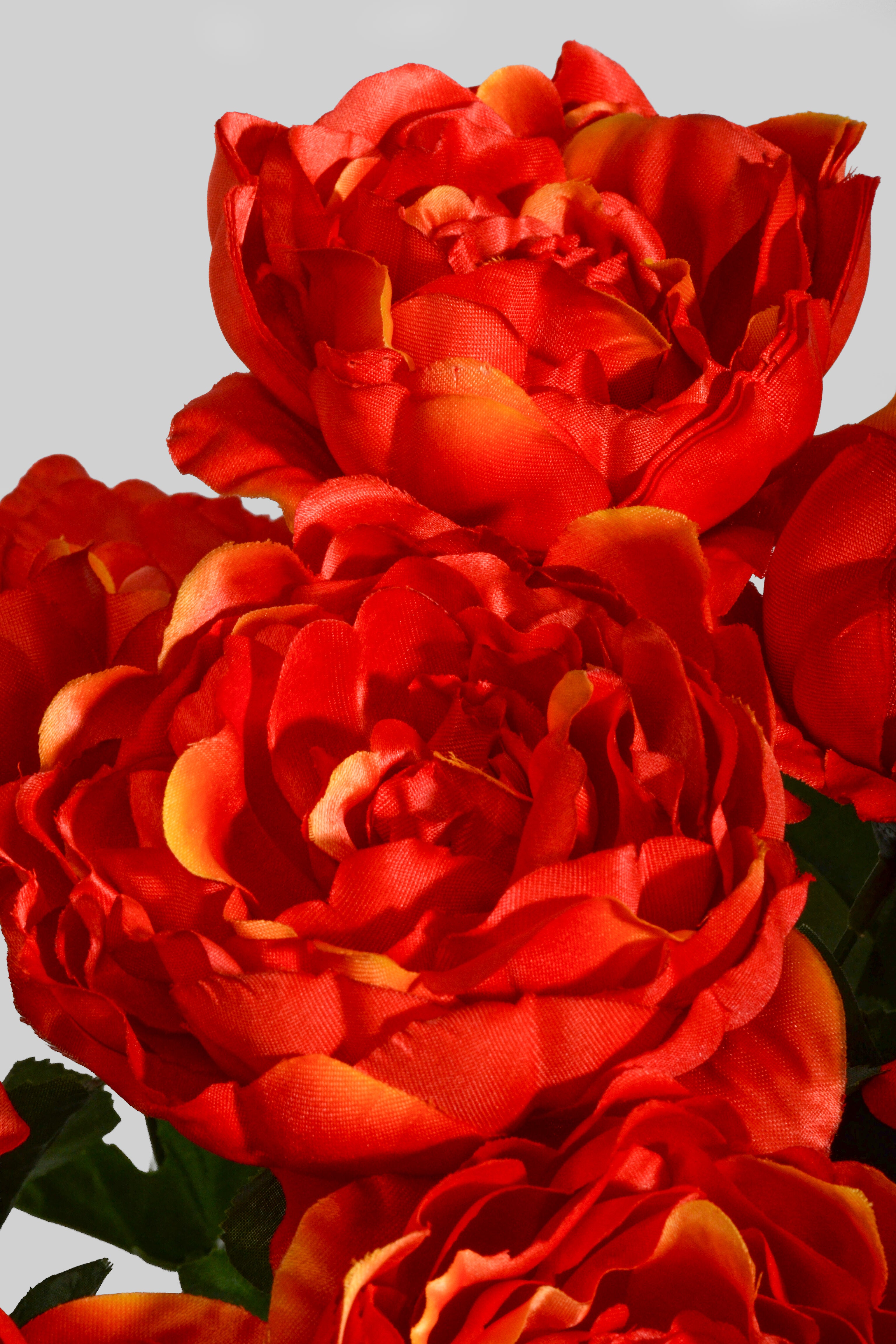 20" Silk Peony Bush Orange
