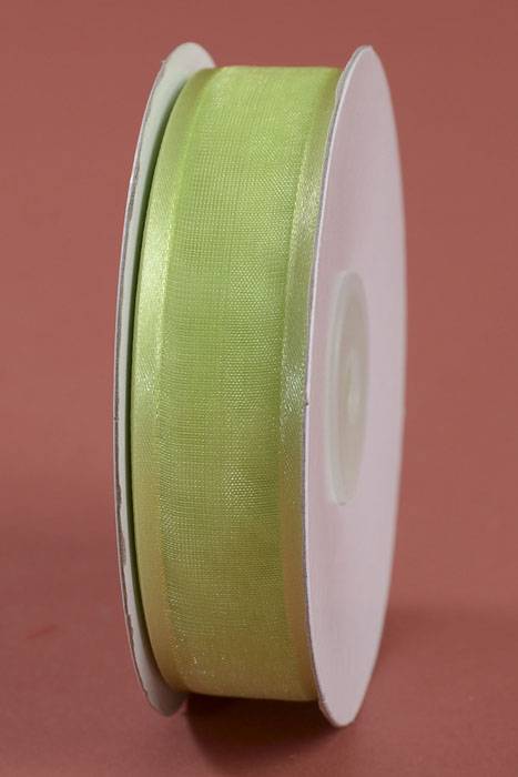 Organza W/satin Edge Mint Green