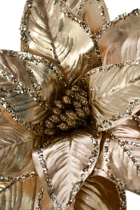 7" Poinsettia With Glitter Clip Champagne
