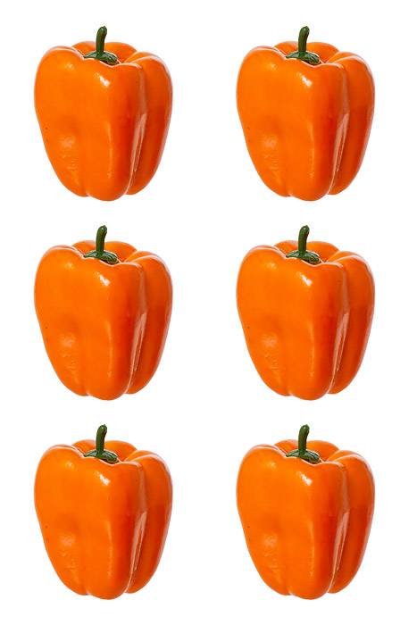 4.5" Bell Pepper Orange Pkg/6