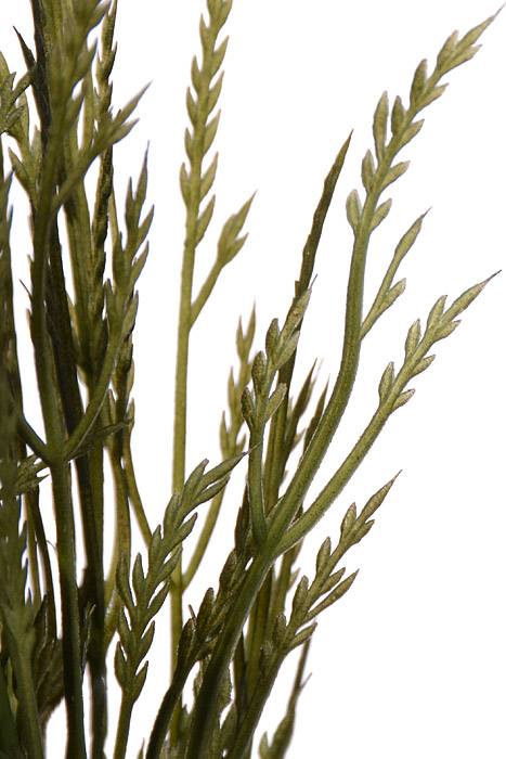 17&quot; Grass Bush Green