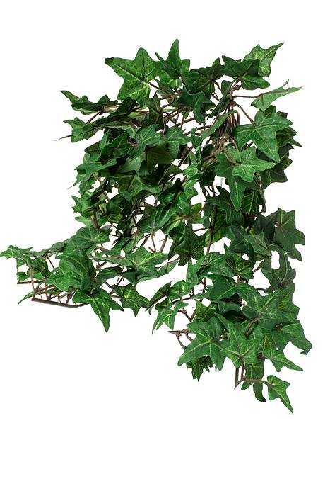 14" Mini Ivy Hanging Bush Green