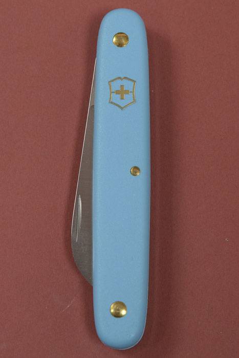 4" Swiss Floral Straight Knife Light Blue Handle