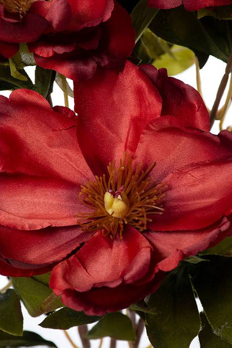 21" Silk Magnolia Bush Rust