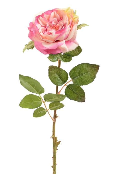 22" English Rose Spray Two Tone Mauve