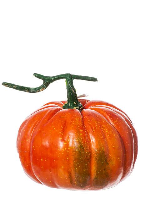 5" X 7" Weighted Pumpkin Orange