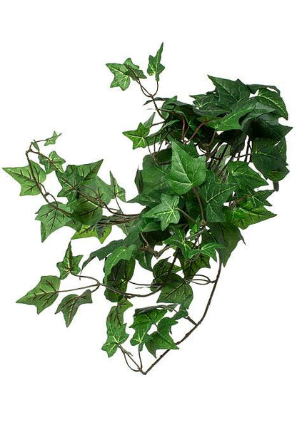 23" English Ivy Bush Green