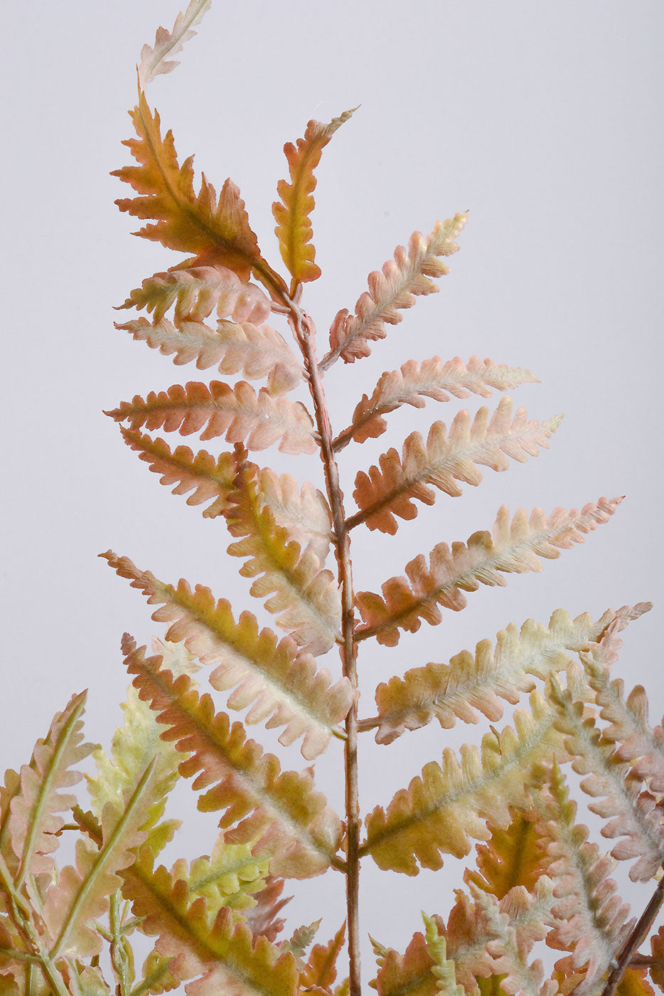 21&quot; Fern Bush Autum