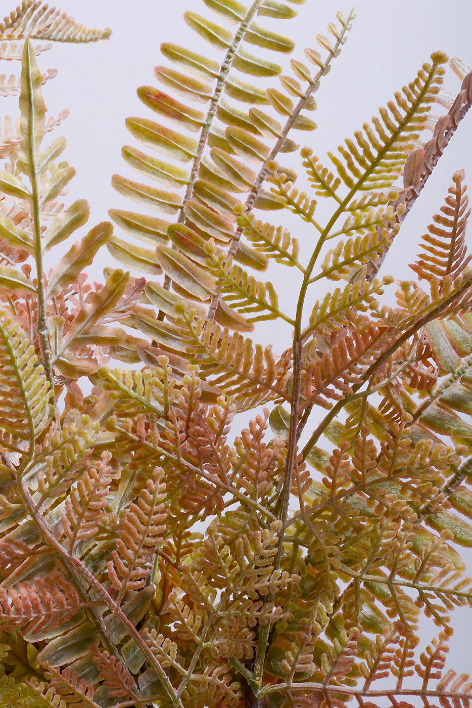 19&quot; Mixed Fern Bush Autum