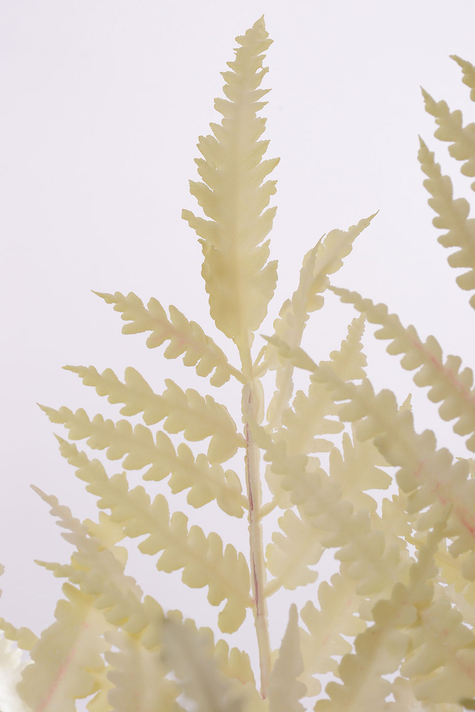 21&quot; Fern Bush Cream